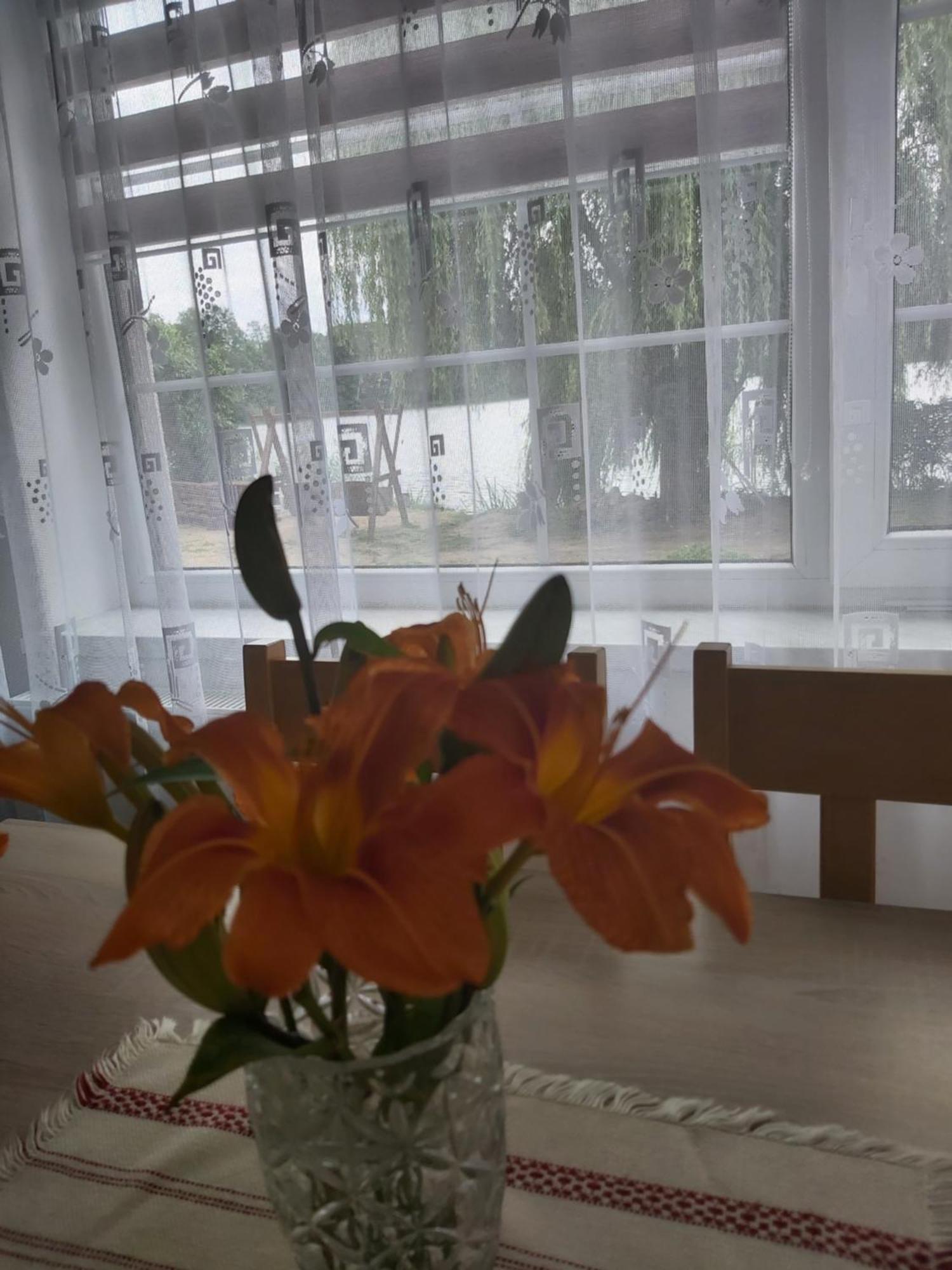Agroturystyka "Jezioranka" Unichowo Luaran gambar